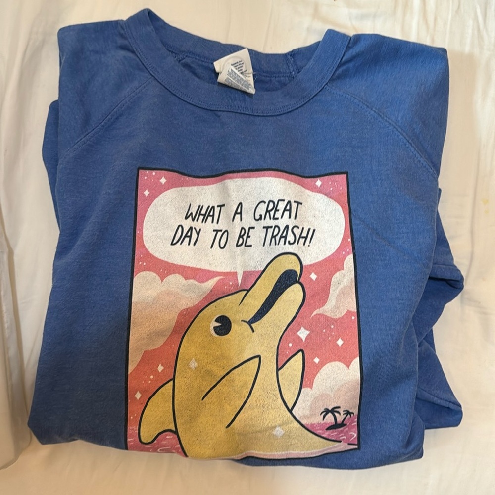 WHAT A GREAT DAY TO BE TRASH novelty sweatshirt
